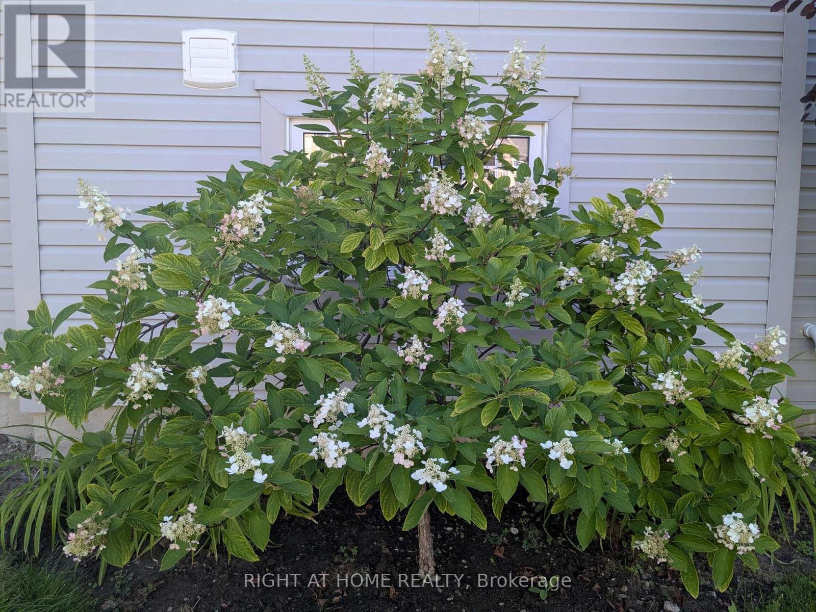 28 Timberbank Square, Georgina, Ontario  L0E 1R0 - Photo 45 - N12975004