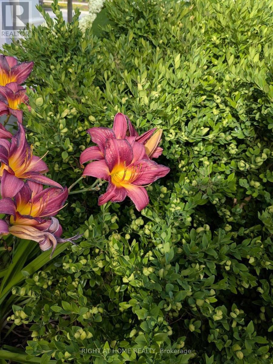 28 Timberbank Square, Georgina, Ontario  L0E 1R0 - Photo 46 - N12975004