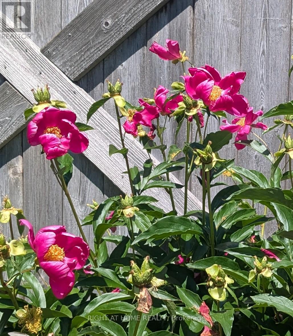 28 Timberbank Square, Georgina, Ontario  L0E 1R0 - Photo 47 - N12975004