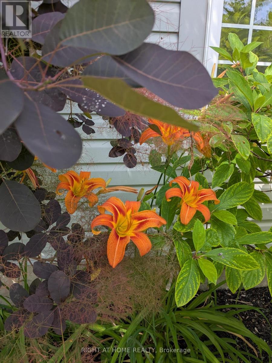 28 Timberbank Square, Georgina, Ontario  L0E 1R0 - Photo 48 - N12975004