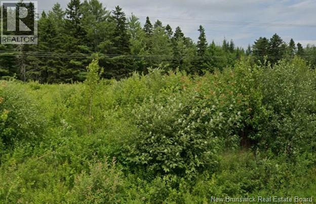 Land Richibucto Rd & Morgan Lake Road, Noonan, New Brunswick  E3A 7E5 - Photo 2 - NB136789