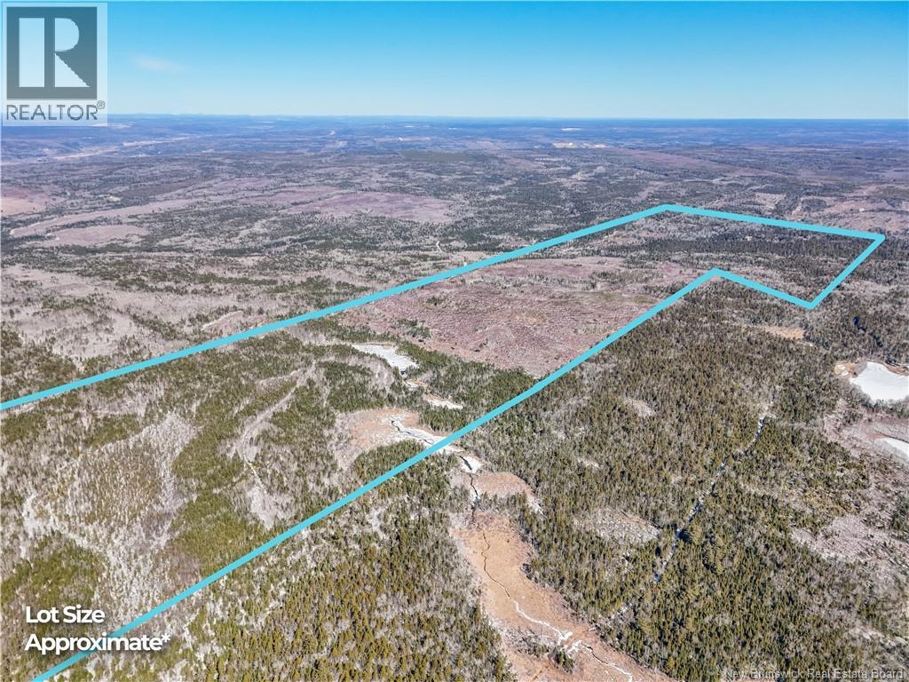 Land Richibucto Rd & Morgan Lake Road, Noonan, New Brunswick  E3A 7E5 - Photo 6 - NB136789