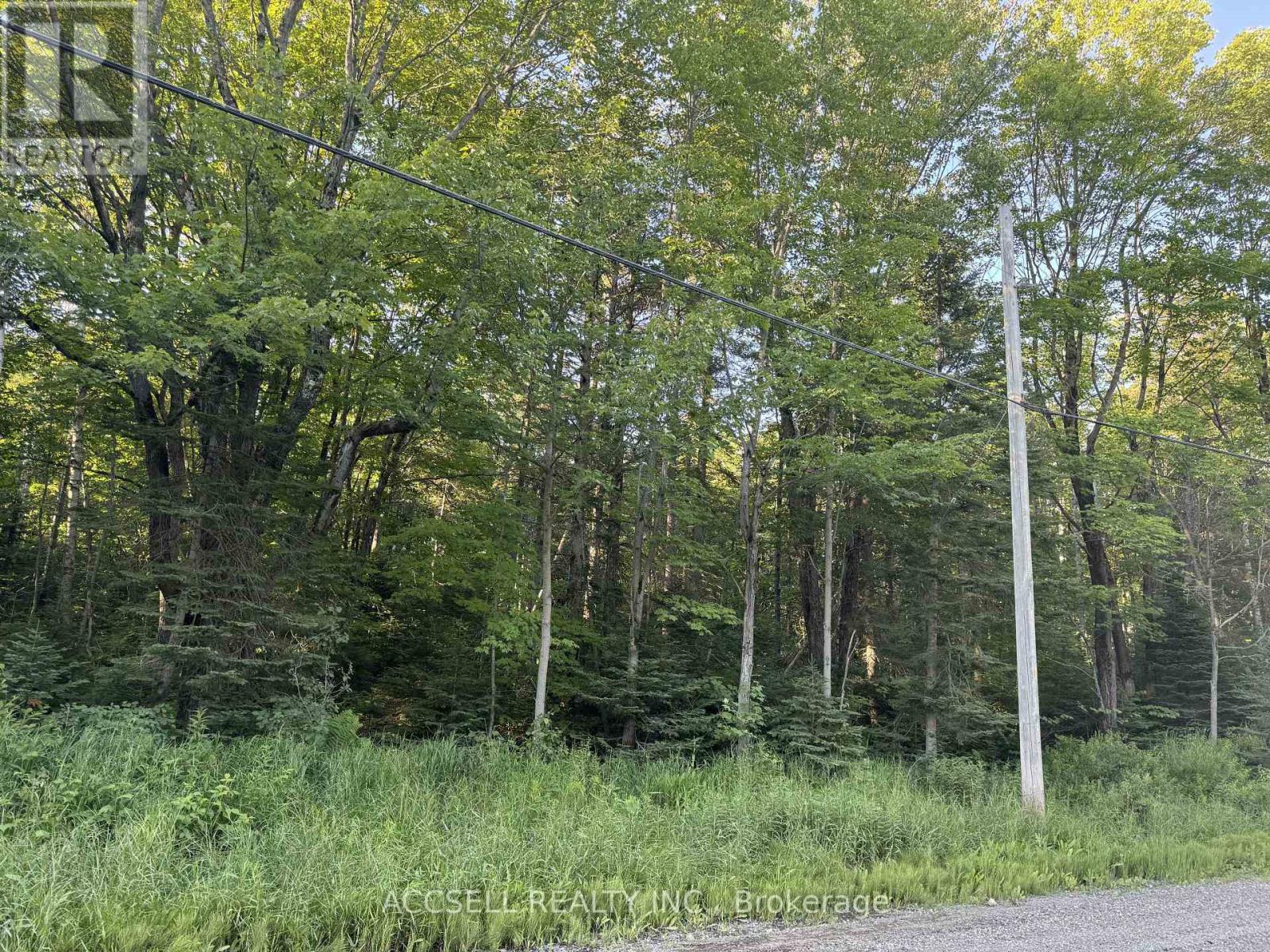 2006 Sixth Line W Ext Line, Sault Ste Marie, Ontario  P6A 0C7 - Photo 3 - X12975120