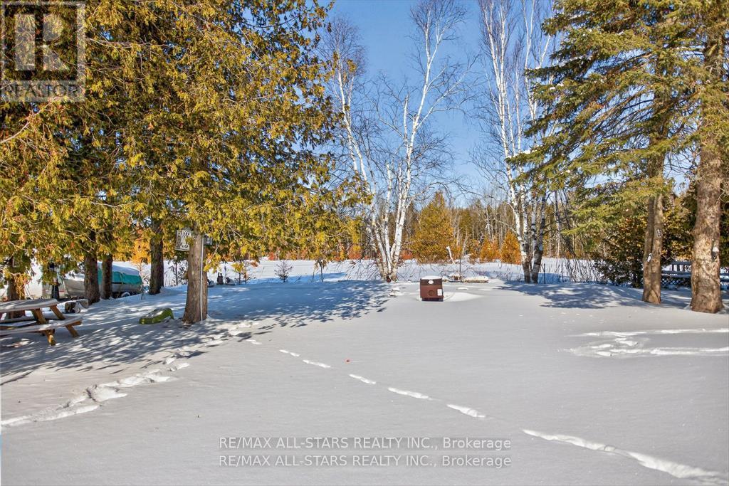 220 Mcguire Beach Road, Kawartha Lakes, Ontario K0M 2B0 - Photo 35 - X12975276