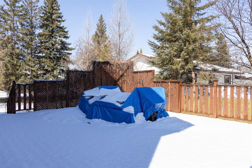 245 Drull Avenue, Vita, Manitoba  R0A 2K0 - Photo 46 - 202606720