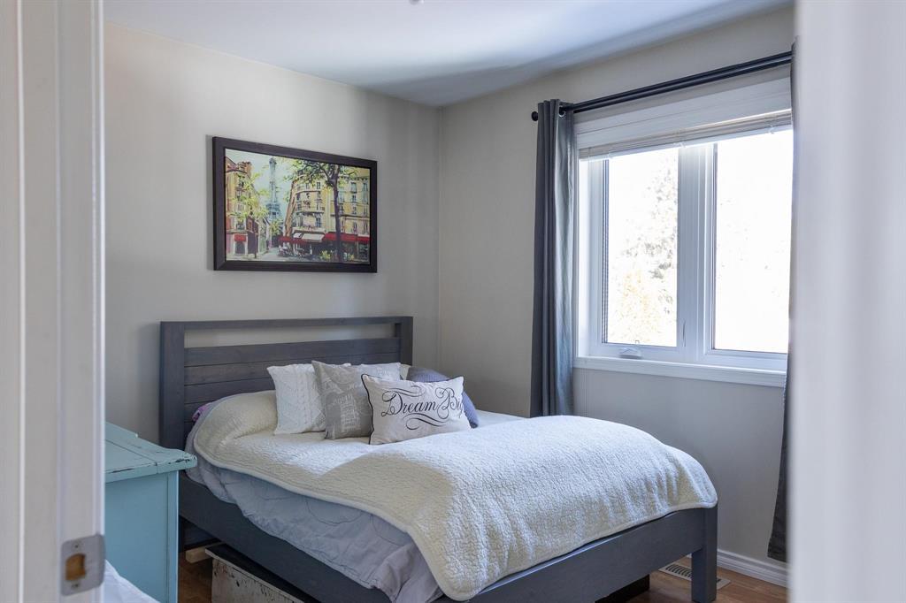 245 Drull Avenue, Vita, Manitoba  R0A 2K0 - Photo 29 - 202606720