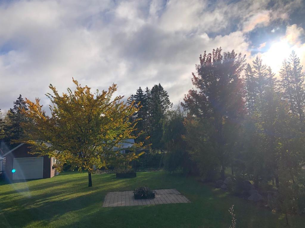 245 Drull Avenue, Vita, Manitoba  R0A 2K0 - Photo 36 - 202606720