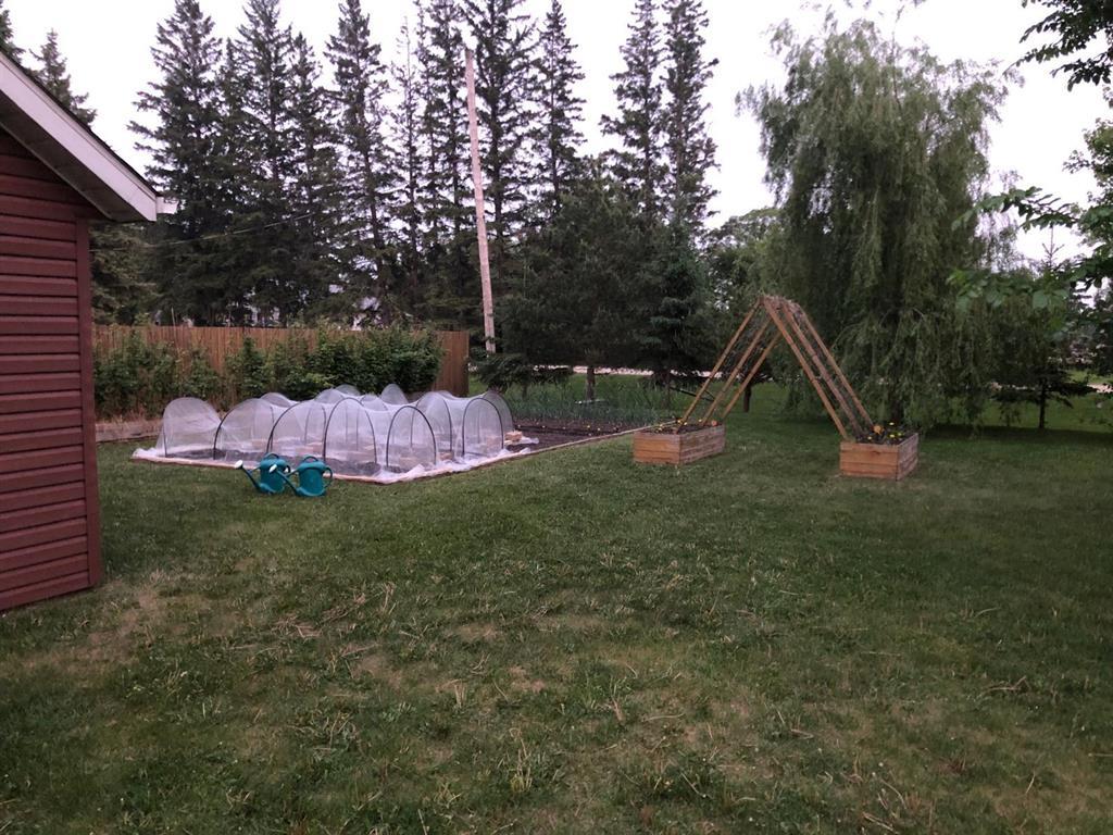 245 Drull Avenue, Vita, Manitoba  R0A 2K0 - Photo 37 - 202606720