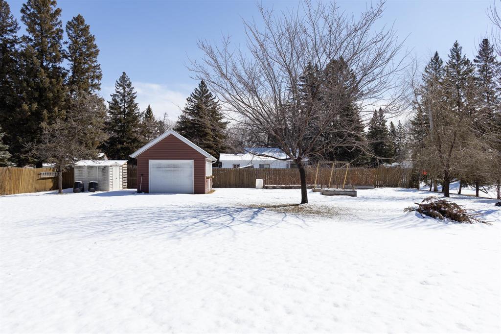 245 Drull Avenue, Vita, Manitoba  R0A 2K0 - Photo 31 - 202606720