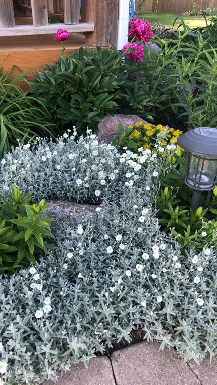 245 Drull Avenue, Vita, Manitoba  R0A 2K0 - Photo 41 - 202606720