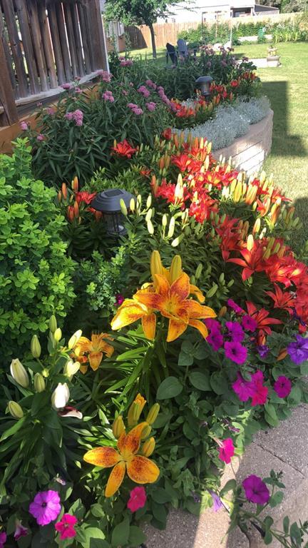 245 Drull Avenue, Vita, Manitoba  R0A 2K0 - Photo 42 - 202606720