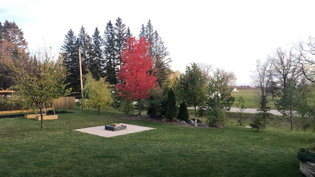 245 Drull Avenue, Vita, Manitoba  R0A 2K0 - Photo 34 - 202606720