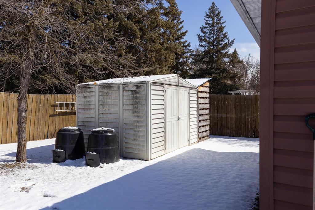 245 Drull Avenue, Vita, Manitoba  R0A 2K0 - Photo 44 - 202606720