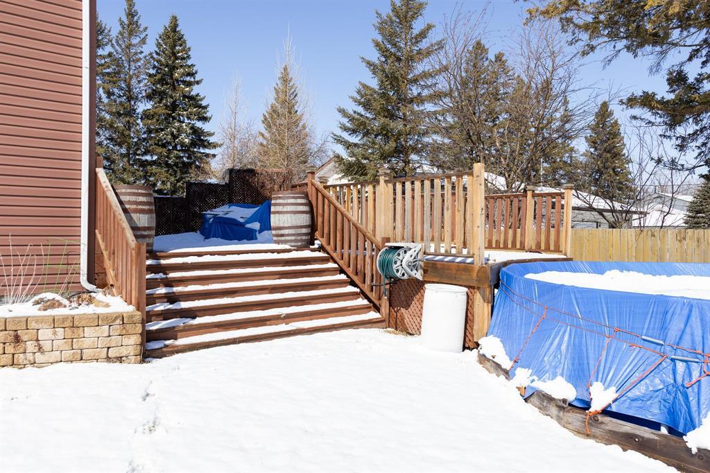 245 Drull Avenue, Vita, Manitoba  R0A 2K0 - Photo 45 - 202606720