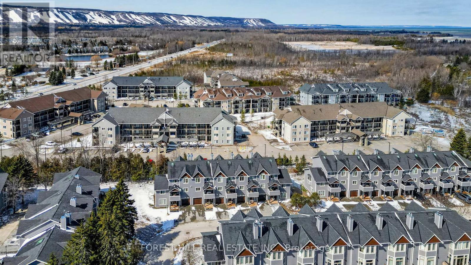 53 Lighthouse Lane W, Collingwood, Ontario  L9Y 5C8 - Photo 41 - S12975300