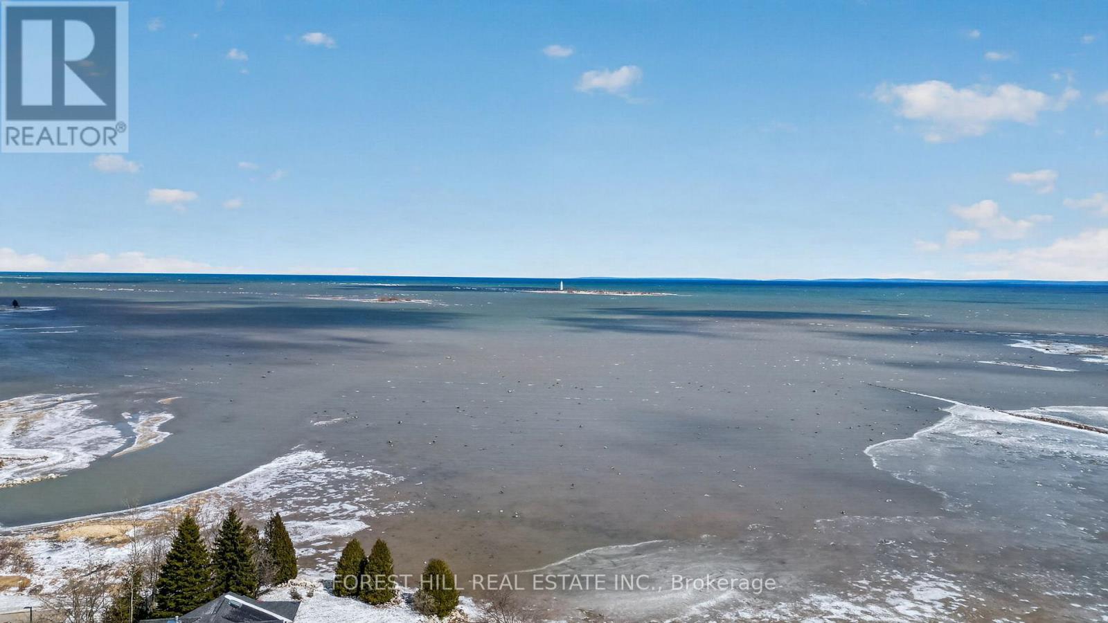 53 Lighthouse Lane W, Collingwood, Ontario  L9Y 5C8 - Photo 43 - S12975300