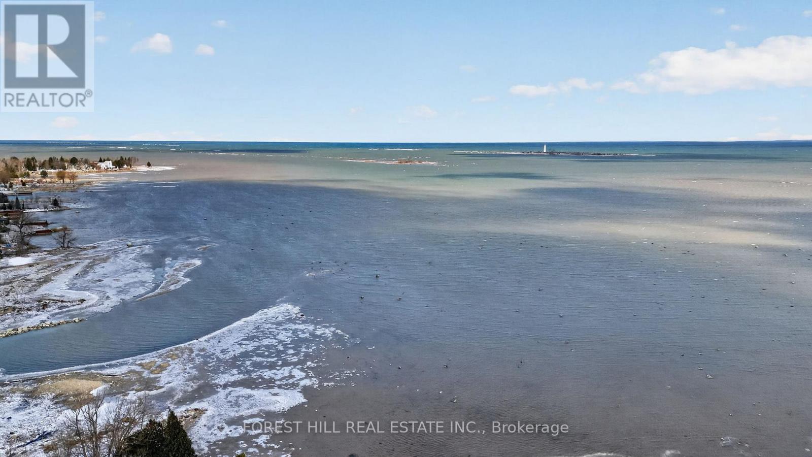 53 Lighthouse Lane W, Collingwood, Ontario  L9Y 5C8 - Photo 45 - S12975300