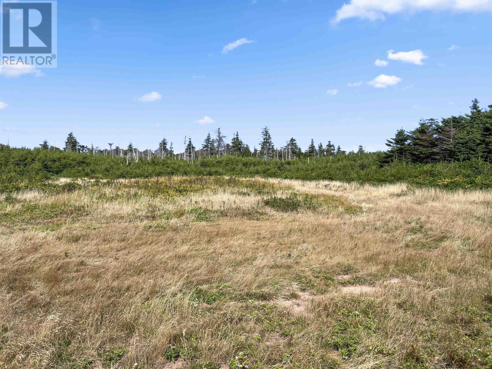 Acreage Lighthouse Road, East Point, Prince Edward Island  C0A 1K0 - Photo 16 - 202606772