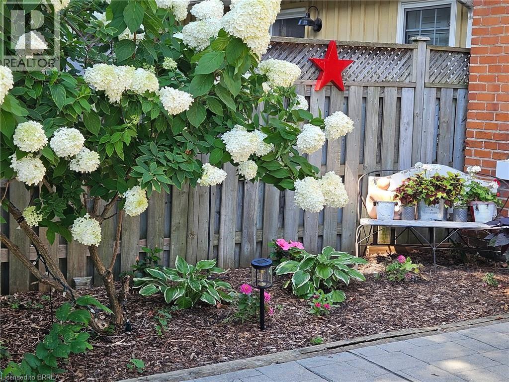 108 William Street, Brantford, Ontario  N3T 3L1 - Photo 40 - 40816135