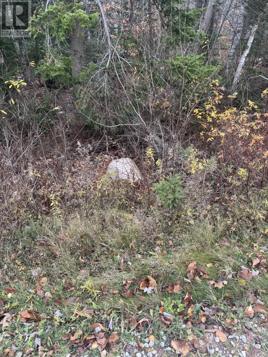 125 Cumberland Line Road, Fairview, Prince Edward Island  C0A 1H2 - Photo 17 - 202525439