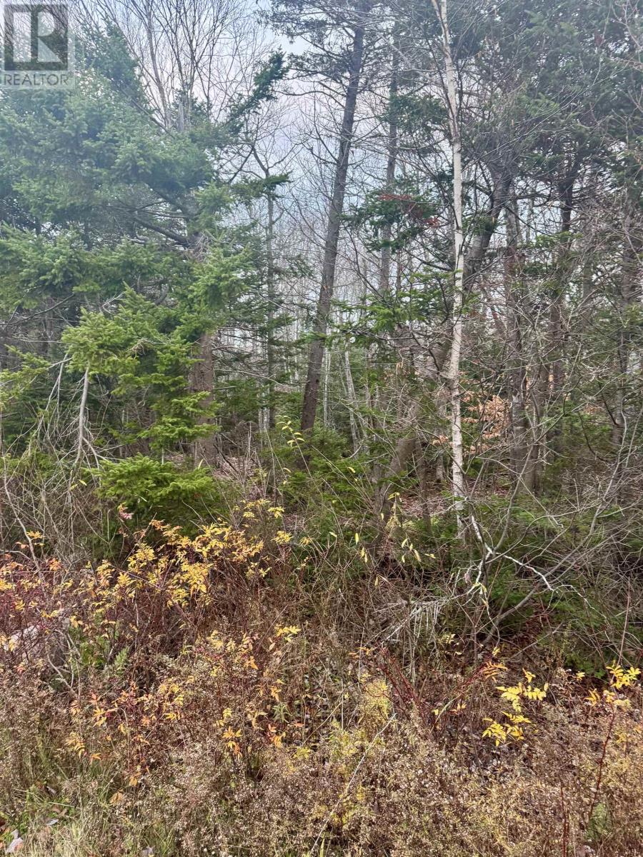 125 Cumberland Line Road, Fairview, Prince Edward Island  C0A 1H2 - Photo 14 - 202525439