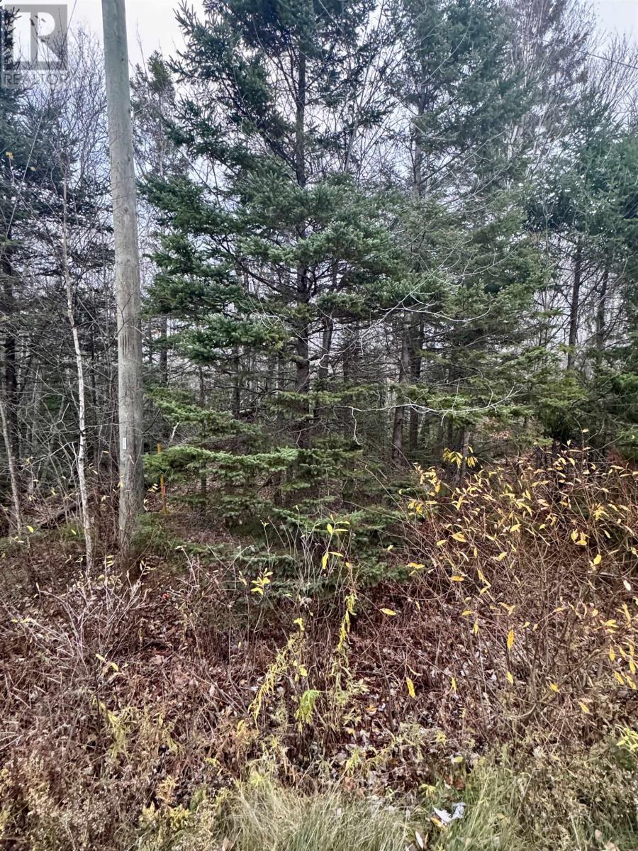 125 Cumberland Line Road, Fairview, Prince Edward Island  C0A 1H2 - Photo 18 - 202525439