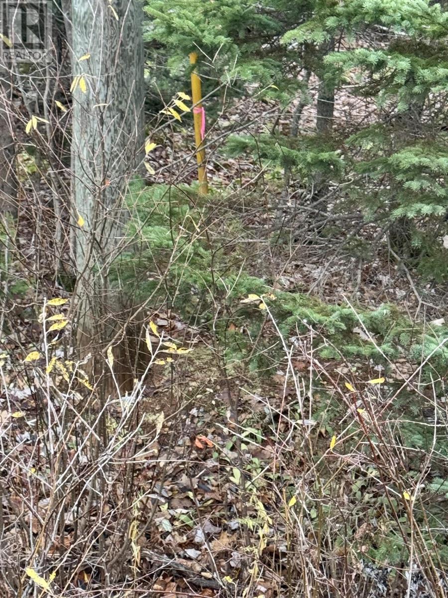 125 Cumberland Line Road, Fairview, Prince Edward Island  C0A 1H2 - Photo 15 - 202525439