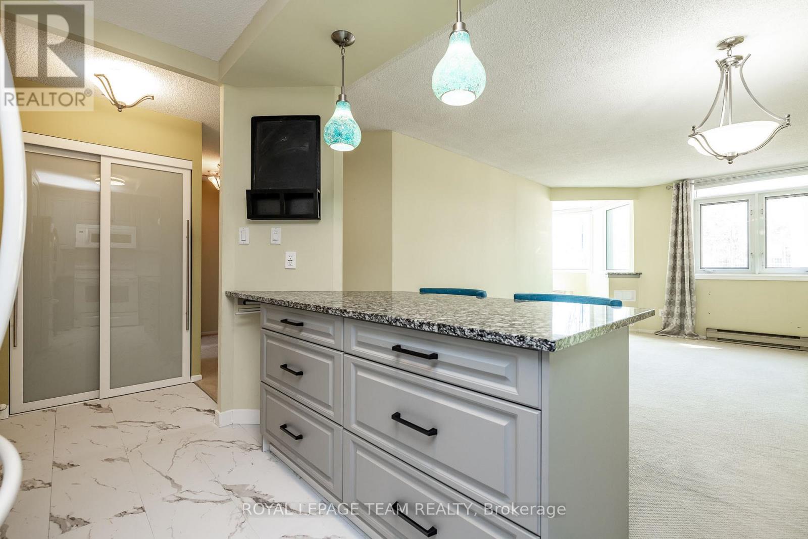 115 - 1025 Grenon Avenue, Ottawa, Ontario  K2B 8S5 - Photo 10 - X12950064