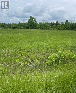 3447 DONNELLY DRIVE N, Ottawa, Ontario