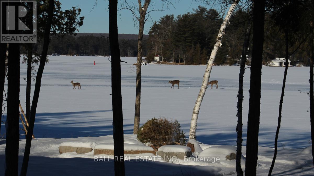 3174 + 3170 Spring Lane E, Selwyn, Ontario  K0L 2H0 - Photo 43 - X12975470