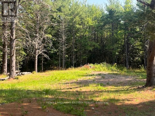 942 Balmer Road, North Kawartha, Ontario K0L 1A0 - Photo 10 - X12975502