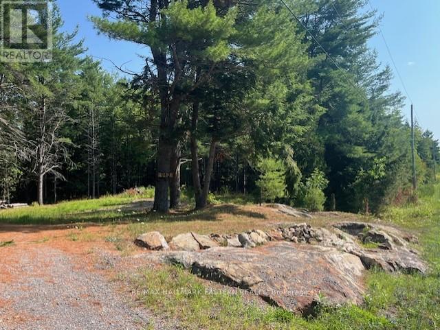 942 Balmer Road, North Kawartha, Ontario K0L 1A0 - Photo 2 - X12975502