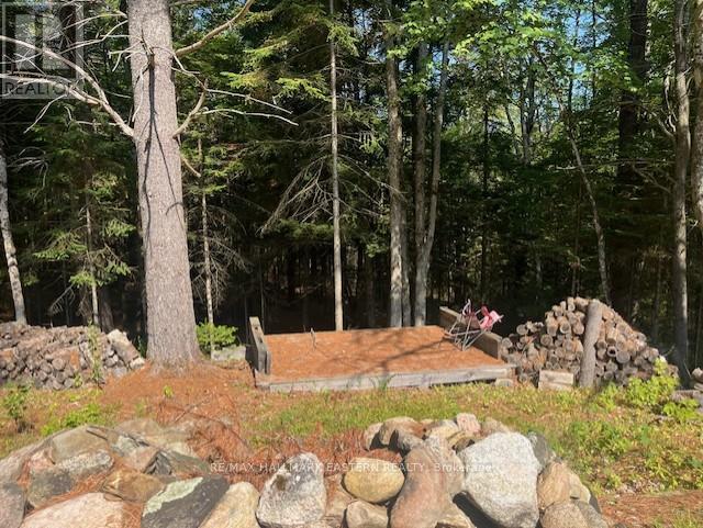 942 Balmer Road, North Kawartha, Ontario K0L 1A0 - Photo 5 - X12975502