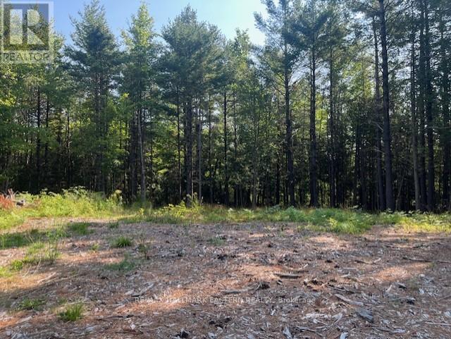 942 Balmer Road, North Kawartha, Ontario K0L 1A0 - Photo 8 - X12975502