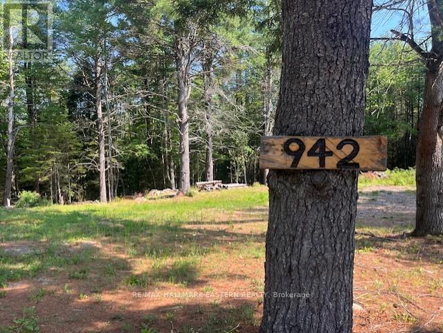 942 Balmer Road, North Kawartha, Ontario K0L 1A0 - Photo 9 - X12975502