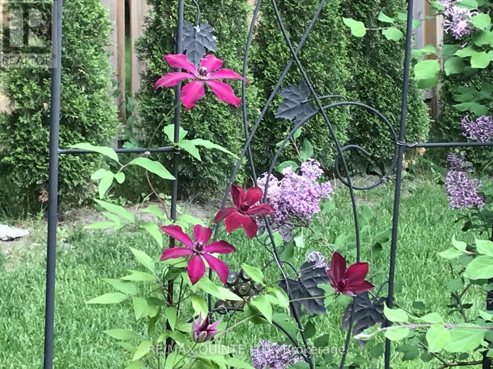 9 Cheer Drive, Brighton, Ontario  K0K 1H0 - Photo 44 - X12975792