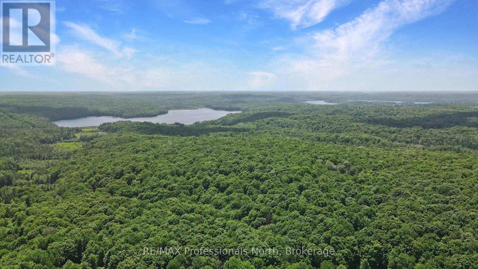 1979 Blairhampton Road, Minden Hills (Minden), Ontario  K0M 2K0 - Photo 41 - X12975650