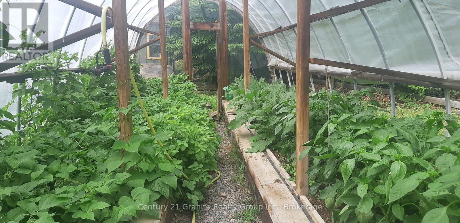 1071 Dardanelles Road, Dysart Et Al, Ontario  K0M 1S0 - Photo 35 - X12975710