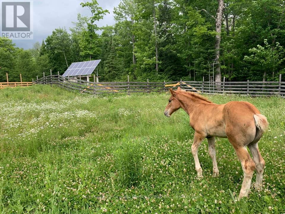 1071 Dardanelles Road, Dysart Et Al, Ontario  K0M 1S0 - Photo 45 - X12975710