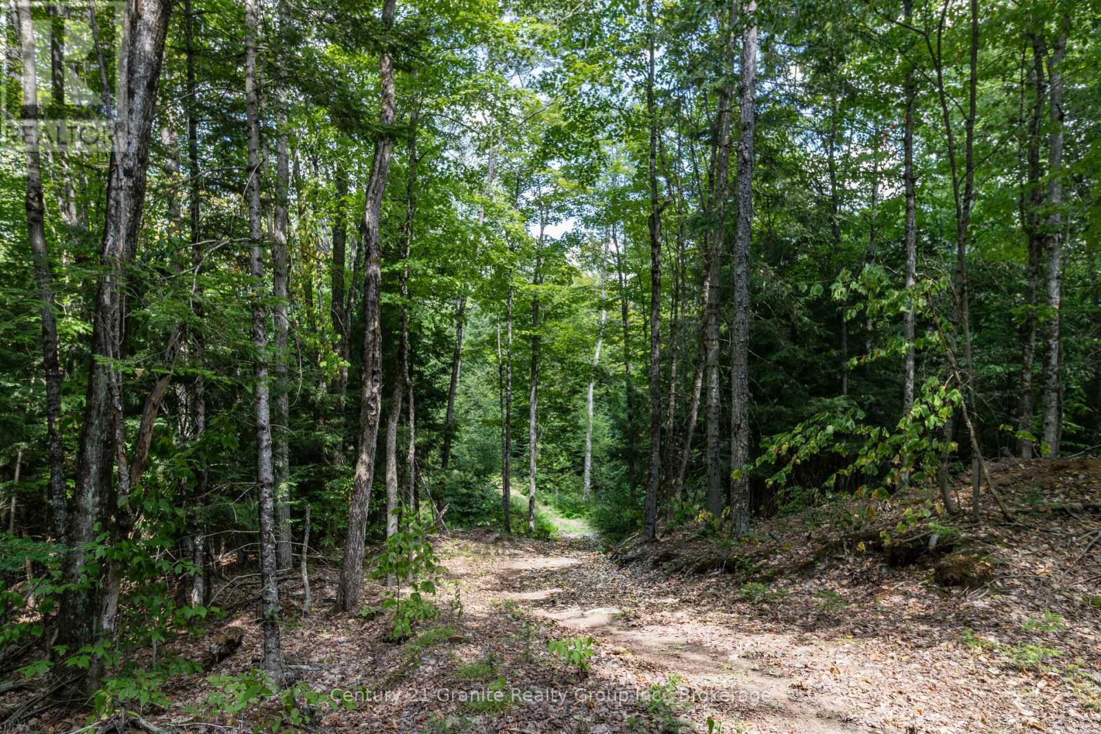 1071 Dardanelles Road, Dysart Et Al, Ontario  K0M 1S0 - Photo 49 - X12975710