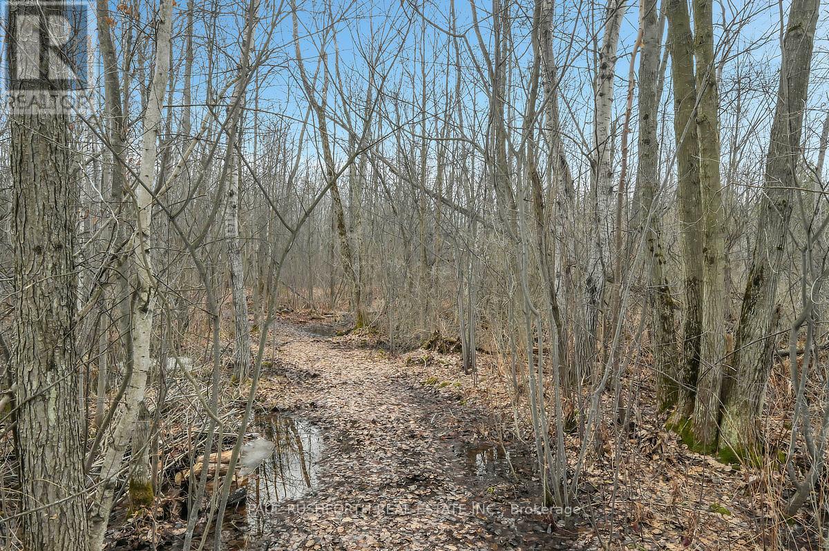 2378 Russland Road, Russell, Ontario  K0A 3H0 - Photo 41 - X12975604