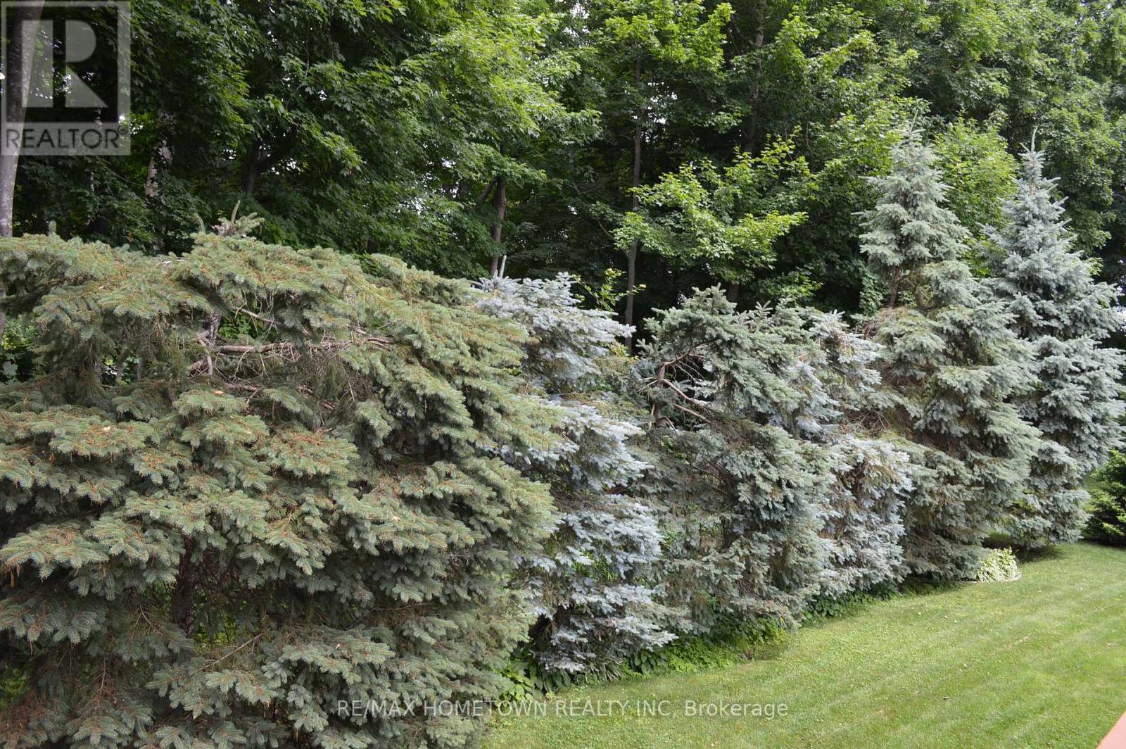 56 Cambridge Crescent, Brockville, Ontario  K6V 6L8 - Photo 45 - X12975550