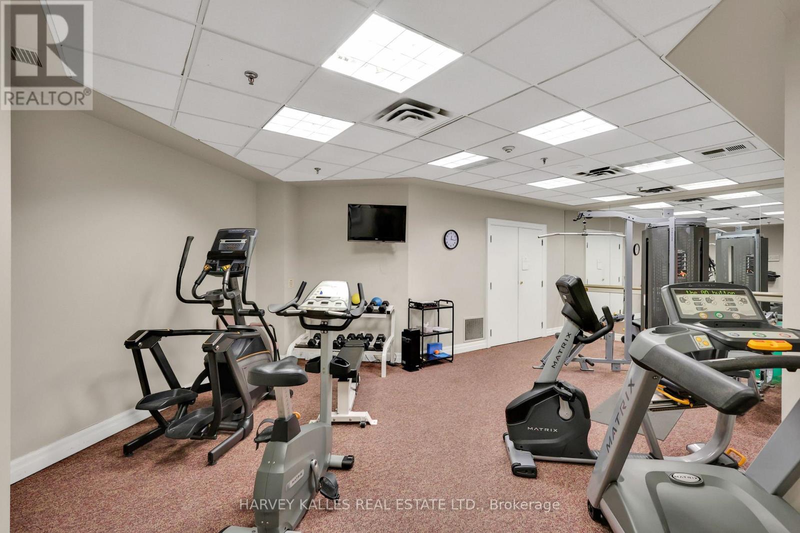 203 - 75 York Mills Road, Toronto, Ontario  M2P 2E7 - Photo 22 - C12975696