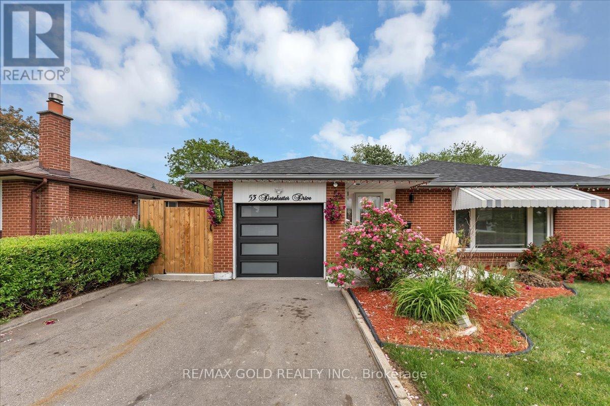 53 Dorchester Drive, Brampton, Ontario  L6T 3E2 - Photo 5 - W12975374