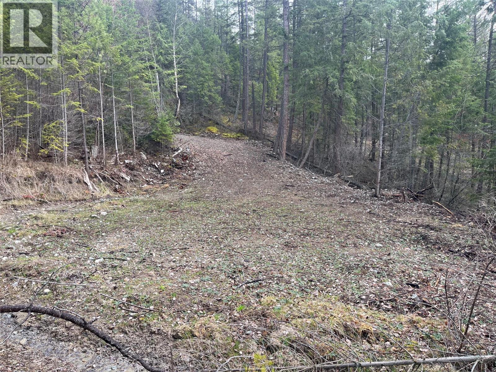 Lot 128 Broadwater Road, Castlegar, British Columbia  V1N 4V8 - Photo 11 - 10382551