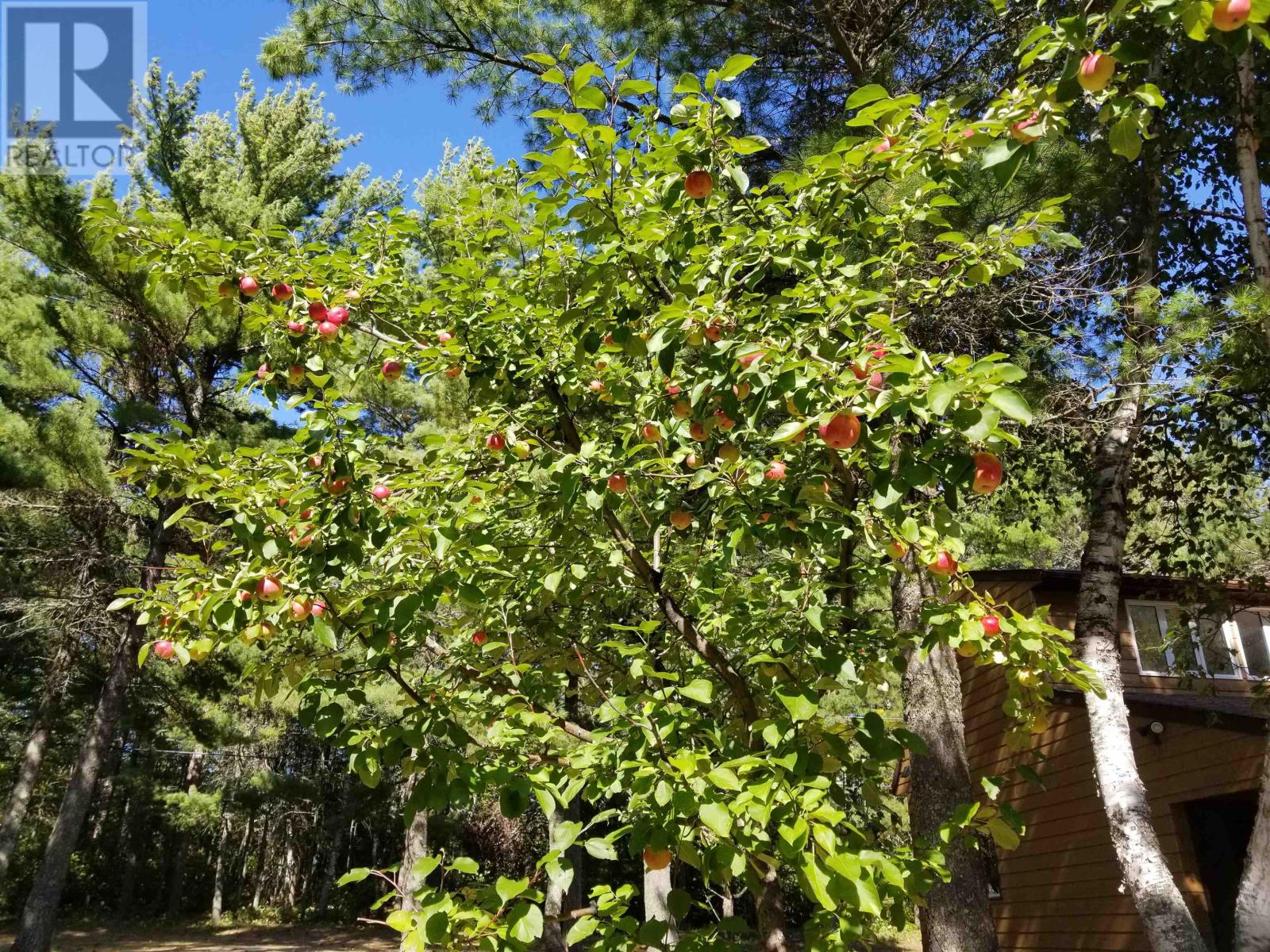 76 Ojibway Dr, Eagle River, Ontario  P0V 1S0 - Photo 40 - TB2600575