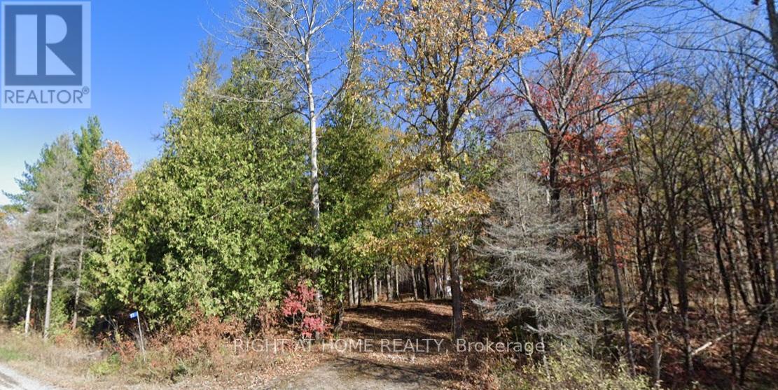 93 MCCLEARY ROAD, Marmora and Lake, Ontario