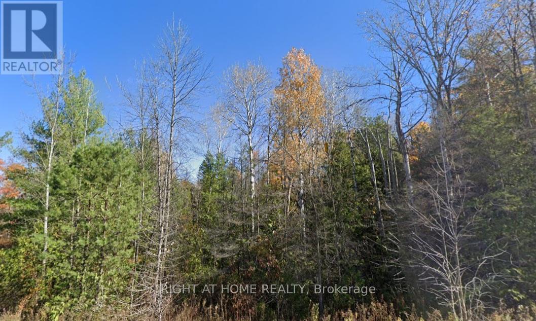 93 Mccleary Road, Marmora And Lake, Ontario  K0K 2M0 - Photo 2 - X12975698