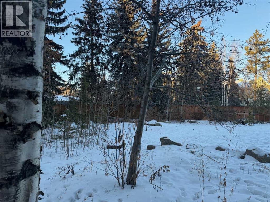 1711, 1715 92 Avenue Sw, Calgary, Alberta  T2V 5C8 - Photo 6 - A2272863