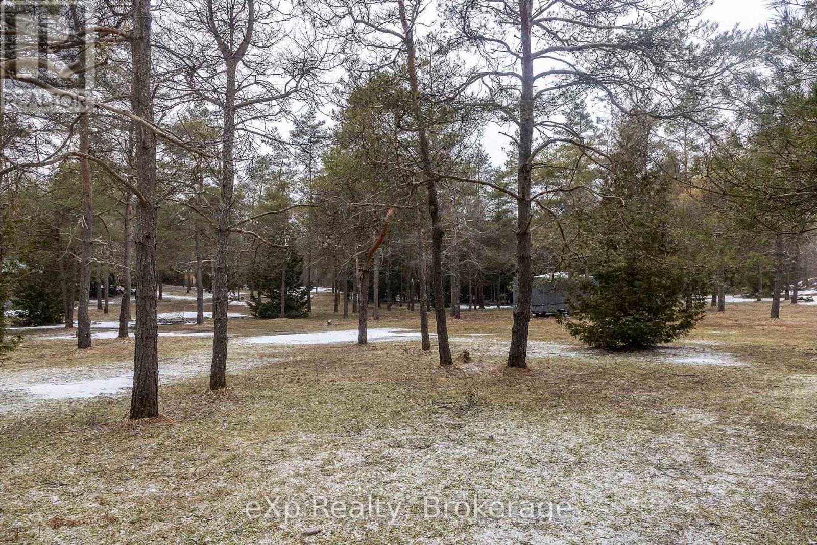 736073 West Back Line, Chatsworth, Ontario  N0C 1H0 - Photo 11 - X12976090